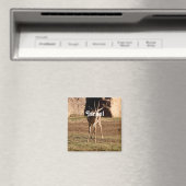 イスラエルのガゼル マグネット (インサイチュ (食洗機))