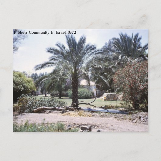 イスラエルのキブツ・コミュニティ ポストカード (正面)