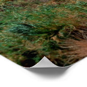 イスラエルのジュディーン砂漠にあるエイン・ゲディの滝 ポスター (角)