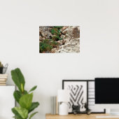 イスラエルのジュディーン砂漠にあるエイン・ゲディの滝 ポスター (ホームオフィス)