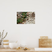 イスラエルのジュディーン砂漠にあるエイン・ゲディの滝 ポスター (キッチン)