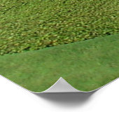 イスラエルのハイファにあるバイガーデン ポスター (角)