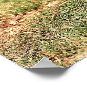 イスラエルの国鳥フーポーの写真ポスター ポスター (角)