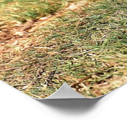 イスラエルの国鳥フーポーの写真ポスター ポスター (角)