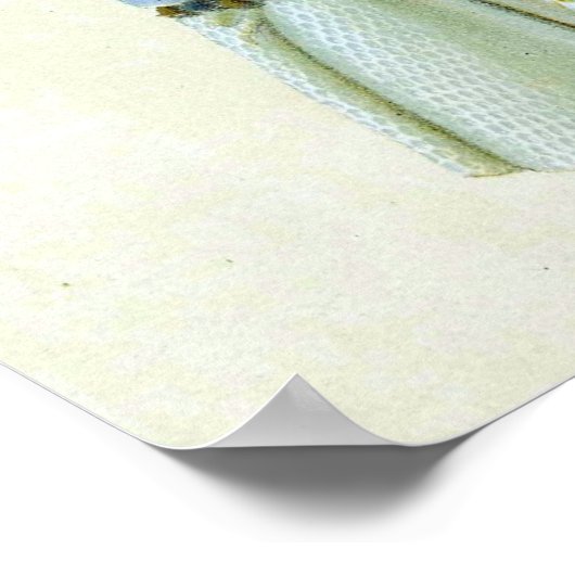 イスラエルの大祭司 ポスター (角)