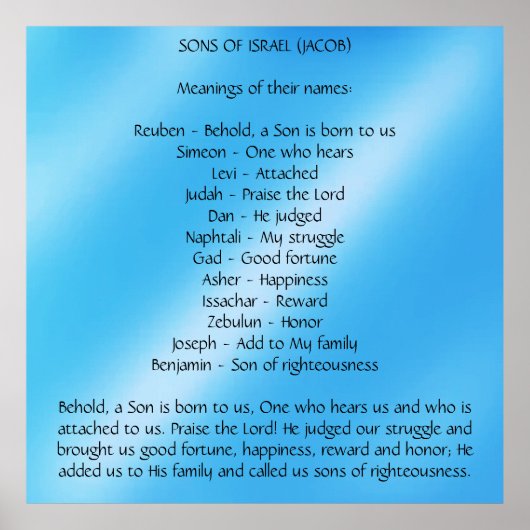 イスラエルの息子 ポスター (正面)