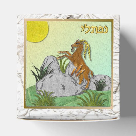 イスラエルの12部族のユダヤ人ナフトカリの好意ボックス フェイバーボックス (上部)