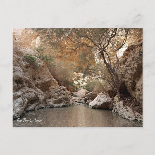 イスラエルのEin Bokek。 ポストカード (正面)