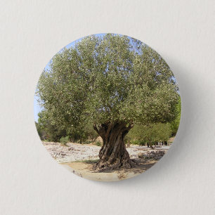 イスラエル共和国のオリーブ 缶バッジ