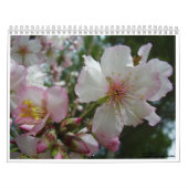 イスラエル共和国の花 カレンダー (カバー)