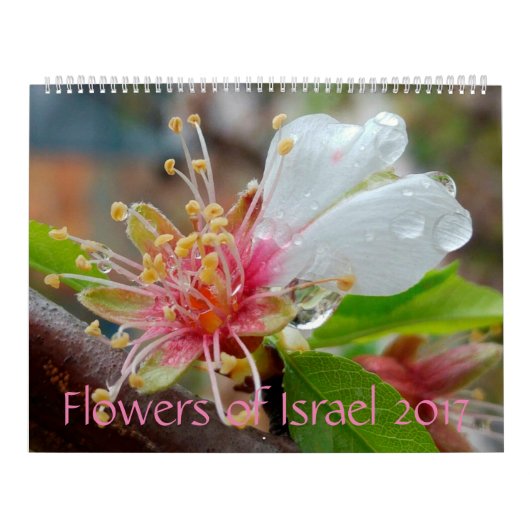 イスラエル共和国の花: 2017カレンダー カレンダー (カバー)