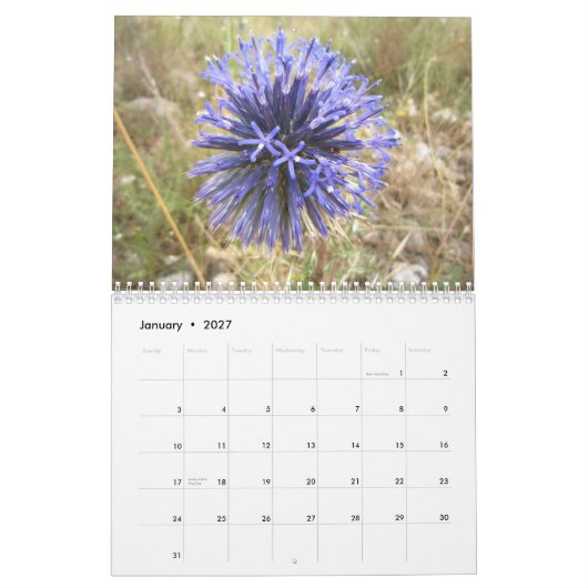 イスラエル共和国 カレンダー (1月 2027)