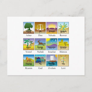 イスラエル十二部族のアザラシ ポストカード