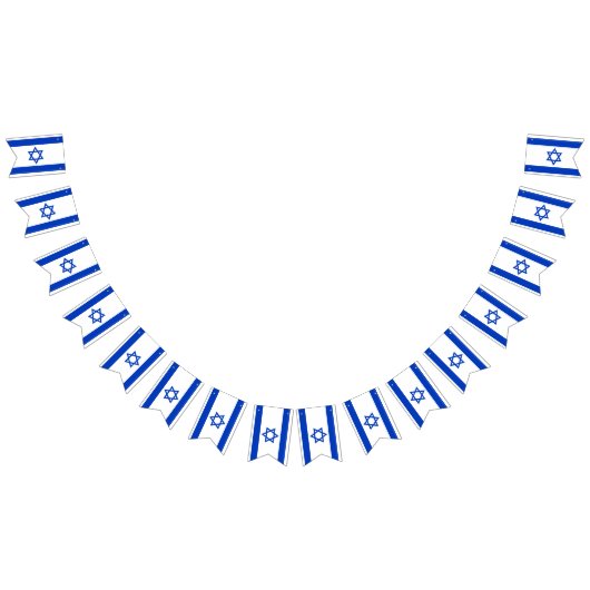 イスラエル国旗とパーティーイスラエルのバナー/結婚式 バンティングフラッグ (全)