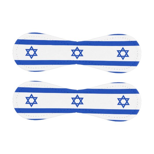 イスラエル国旗を掲げた愛国的野球 野球ボール (パネル)