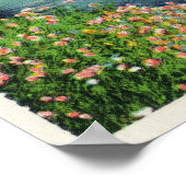 イスラエル川の景色とレイ大統領のン ポスター (角)