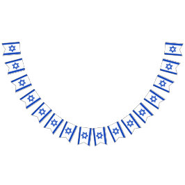 イスラエル独立記念日ヨムハッツマート バンティングフラッグ