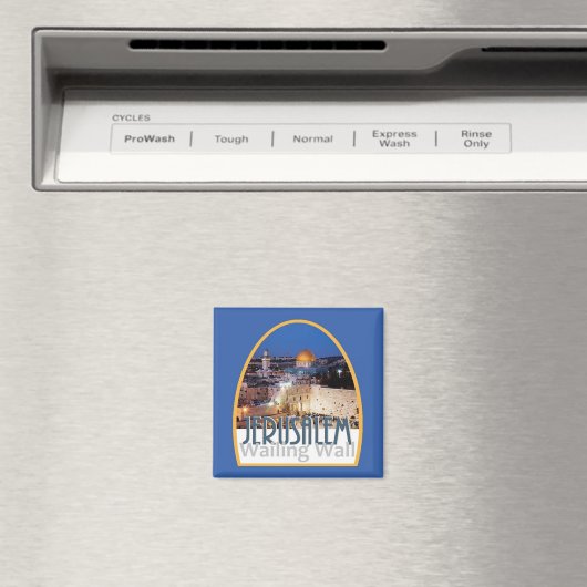 イスラエル磁石 マグネット (インサイチュ (食洗機))