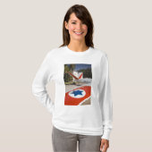 イスラエル空軍博物館 Tシャツ (正面フル)