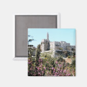 イスラエル22 マグネット (正面/裏面)