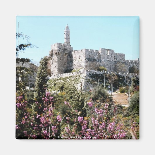 イスラエル22 マグネット (正面)