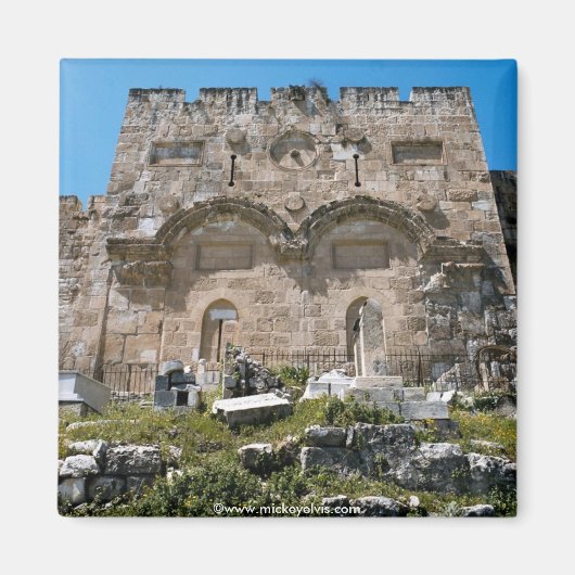 イスラエル43 マグネット (正面)