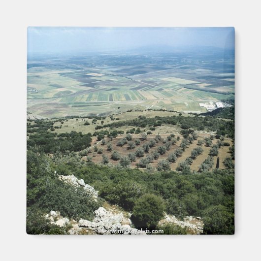 イスラエル69 マグネット (正面)