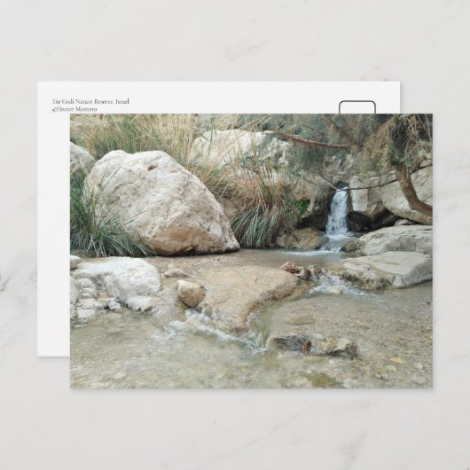 イスラエル，エイン・ゲディ自然保護区 ポストカード (正面/裏面)