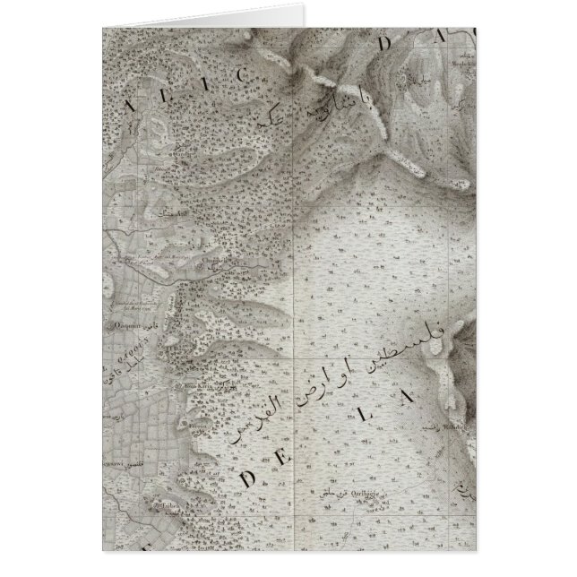 イスラエル・チェザーリー (正面)