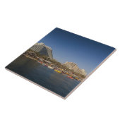 イスラエル、ネゲフ、アイラット、紅海ビーチフロント タイル (側面)