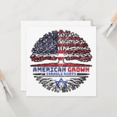 イスラエルUS American USA統一された州ツリー カード (正面/裏面インサイチュ)