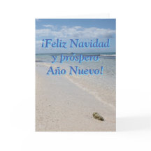 イスラサオスペインのナカリブのビーチメリークリスマス