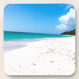 イスラサオナビーチインカリブのザ コースター