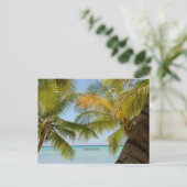 イスラサオナ（島）ドミニカ共和国ポストカード ポストカード (スタンド正面)