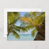 イスラサオナ（島）ドミニカ共和国ポストカード ポストカード (正面/裏面)