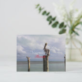 イスラモラダ，フロリダ州ホリデーポストカード シーズンポストカード (スタンド正面)