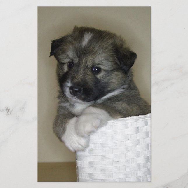 イスランドンズウェルペ (正面)