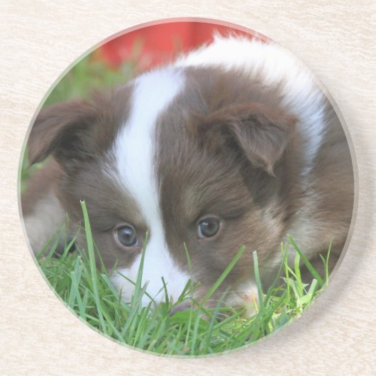 イスランド コースター (正面)