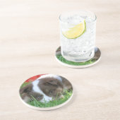 イスランド コースター (側面)