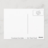 イスラヴェルデビーチ ポストカード (裏面)