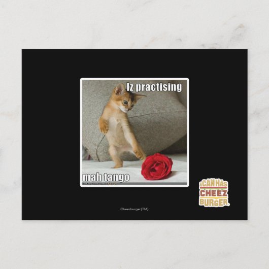 イズさんマンタンゴ練習中 ポストカード (正面)