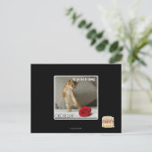 イズさんマンタンゴ練習中 ポストカード (スタンド正面)