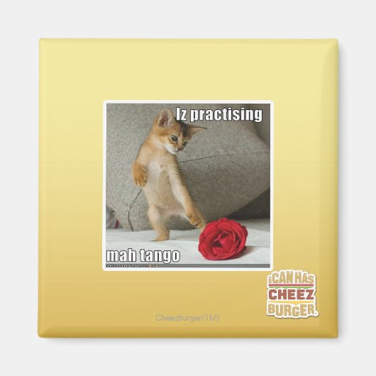 イズさんマンタンゴ練習中 マグネット (正面)