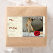 イズさんマンタンゴ練習中 ラベル (インサイチュ)