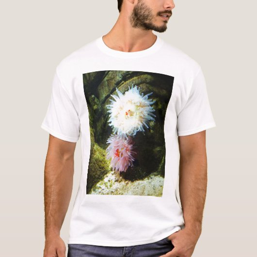 イソギンチャク Tシャツ (正面)