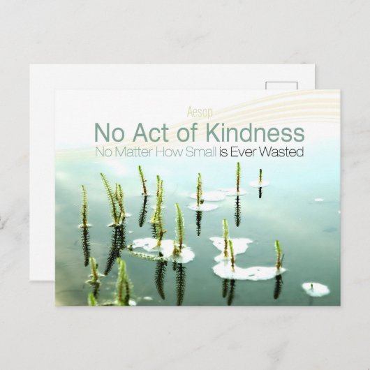 イソップ感動的引用文「優しさ」 ポストカード (正面/裏面)