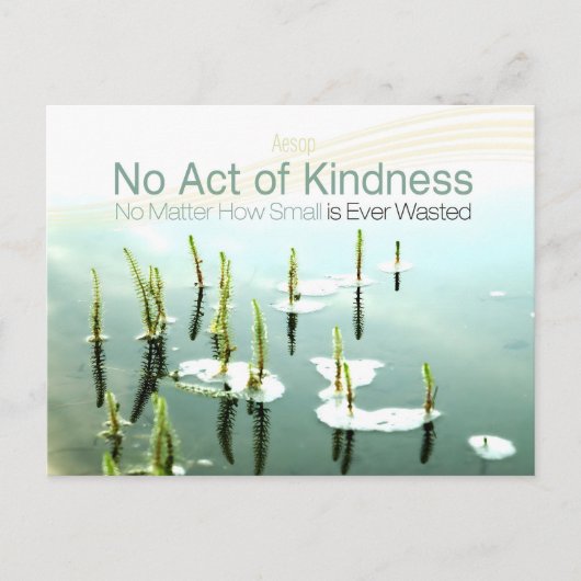 イソップ感動的引用文「優しさ」 ポストカード (正面)