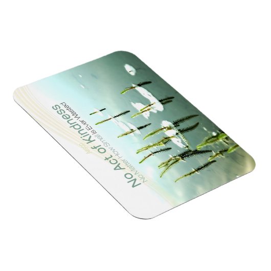 イソップ感動的引用文「優しさ」 マグネット (右側)