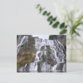 イタカ秋葉書 ポストカード (スタンド正面)