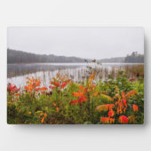 イタスカ州パーク |ミネソタ フォトプラーク (正面)